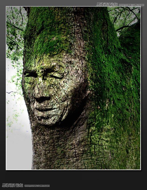 Photoshop合成超酷逼真的人头树木教程1