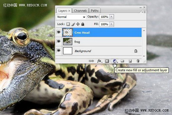 Photoshop合成的长着鳄鱼头的青蛙10