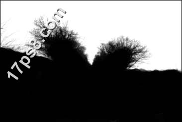 photoshop合成死亡场景-骷髅与玫瑰4