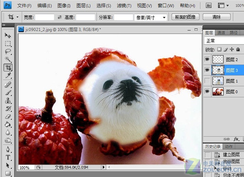 Photoshop合成可爱海豹型荔枝5