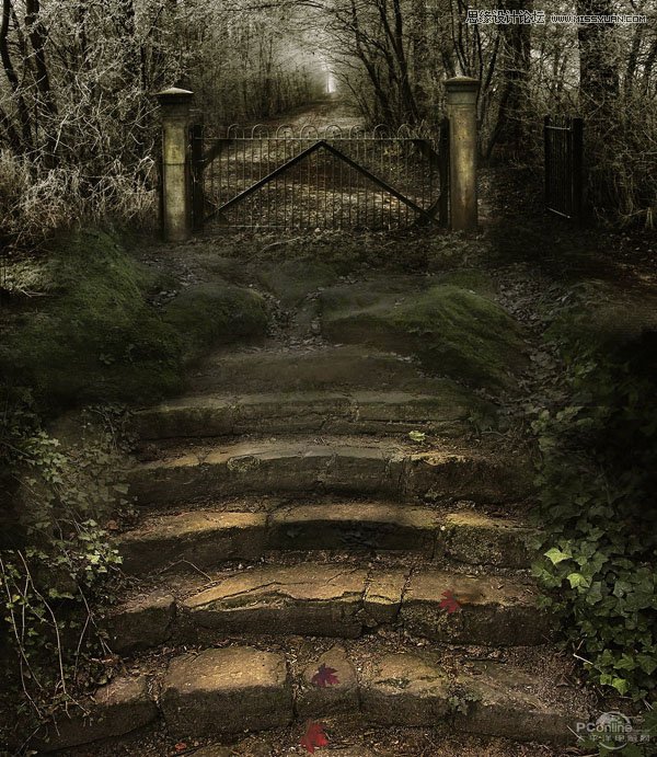 Photoshop合成在林中阶梯上沉思的美女仙子2