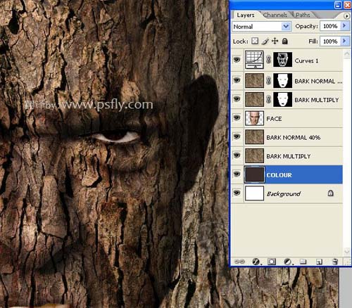 Photoshop合成科幻片中的树人魔怪23