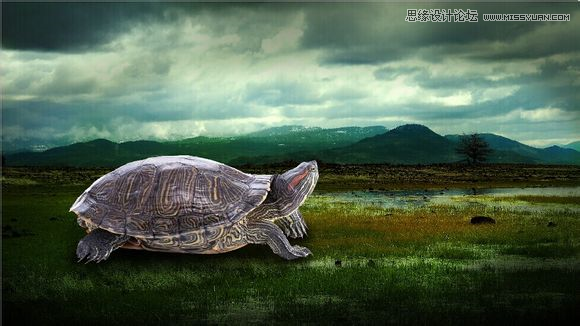 Photoshop合成乌龟拖着假山效果图6