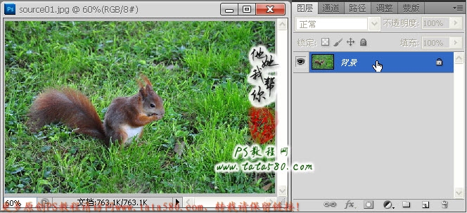 Photoshop合成两只松鼠拿着花朵5