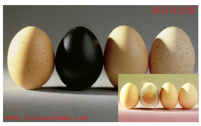 PhotoShop打造透明形态的鸡蛋创意合成教程1