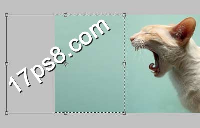 PhotoShop合成嘴里喷火焰的猫咪特效教程5