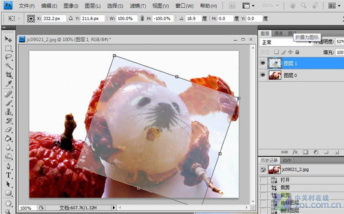 Photoshop合成可爱海豹型荔枝3