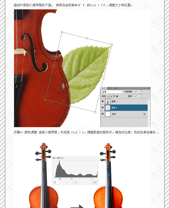 ps合成花卉小提琴效果图5