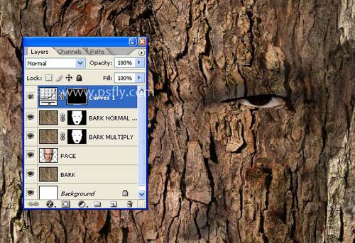 Photoshop合成科幻片中的树人魔怪14