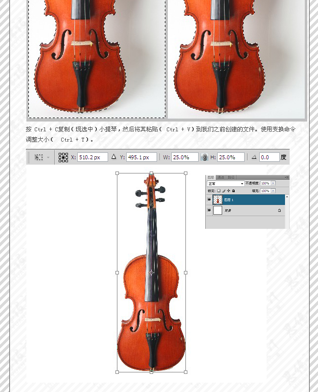 ps合成花卉小提琴效果图3