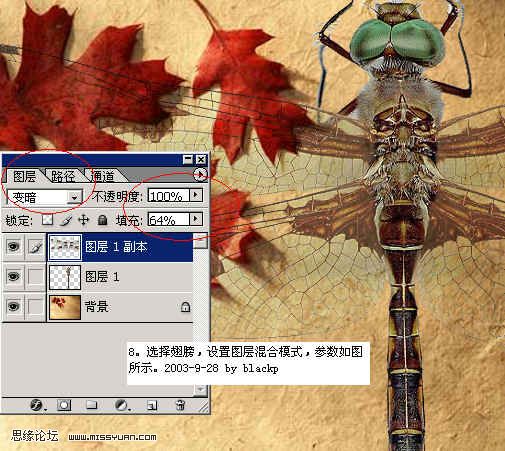 PS抠图：图层混合的方法换蜻蜓背景的教程9