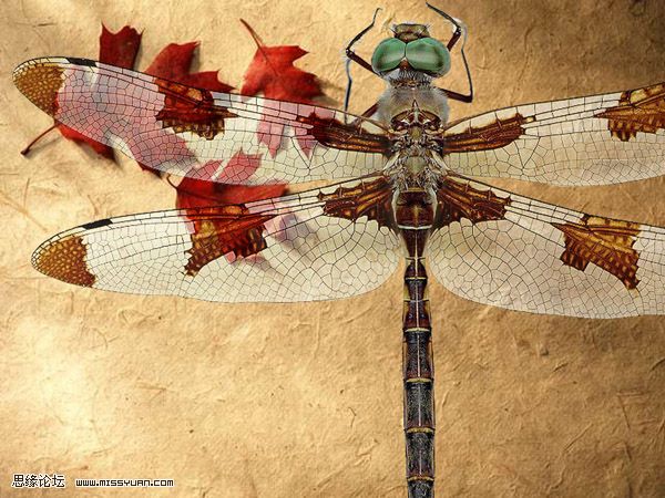 PS抠图：图层混合的方法换蜻蜓背景的教程11