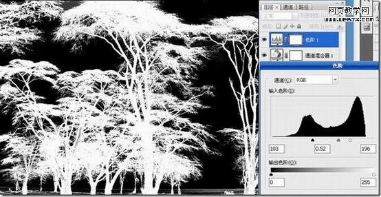 photoshop利用反相操作抠出复杂树木5