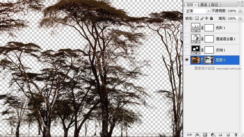 利用Photoshop通道抠出复杂的树林教程5