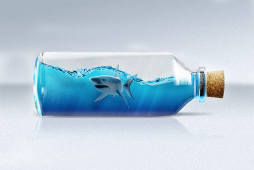 PS合成在瓶子里游泳的鲨鱼1