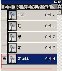 photoshop树枝抠图方法3