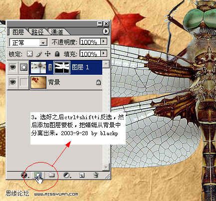 PS抠图：图层混合的方法换蜻蜓背景的教程3