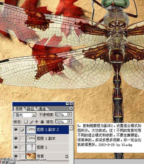 PS抠图：图层混合的方法换蜻蜓背景的教程10