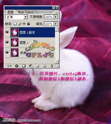 ps滤镜抠出毛茸茸的小白兔3