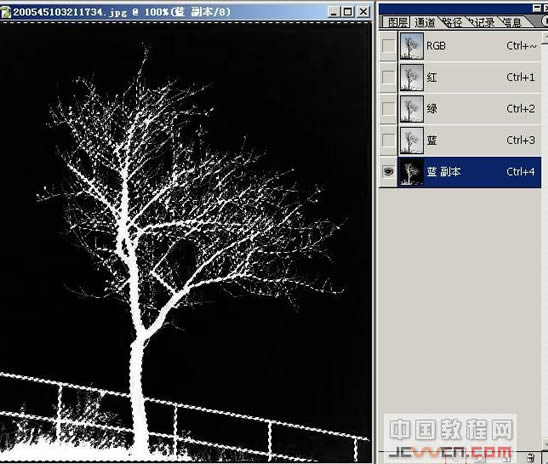 photoshop树枝抠图方法5