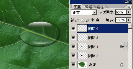 PS画叶片上的水滴水珠10