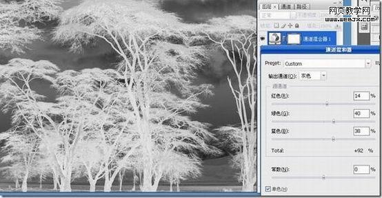 photoshop利用反相操作抠出复杂树木4