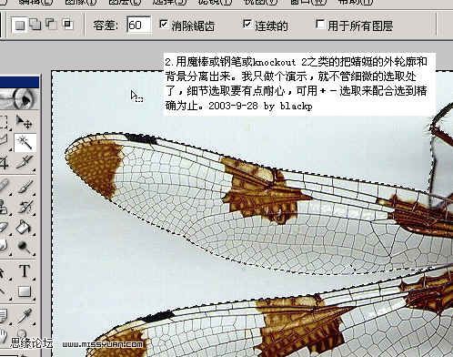 PS抠图：图层混合的方法换蜻蜓背景的教程2