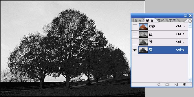 photoshop通道给繁密的树枝抠图教程4