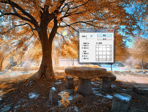 PS滤镜给大树照片添加唯美太阳光5