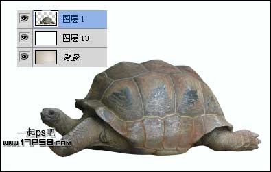 PS设计制作乌龟壳上的村庄环保宣传海报3