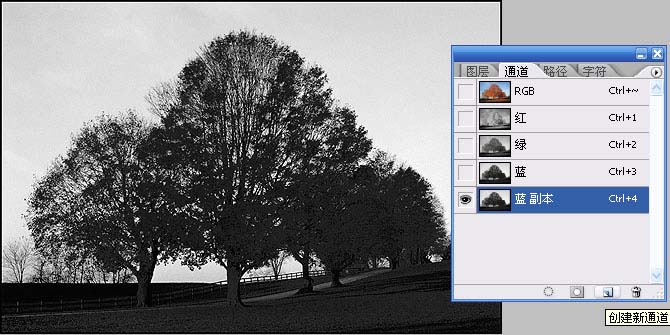photoshop通道给繁密的树枝抠图教程5