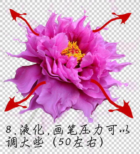 Photoshop设计动感飞溅效果的艺术花朵12