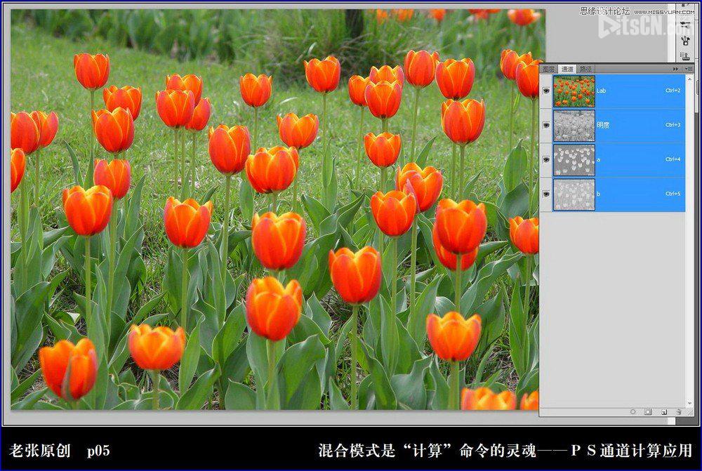 Photoshop利用计算命令计算出精确选区调整图片颜色5