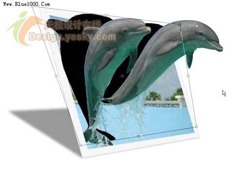 PS制作跃出照片的海豚特效13