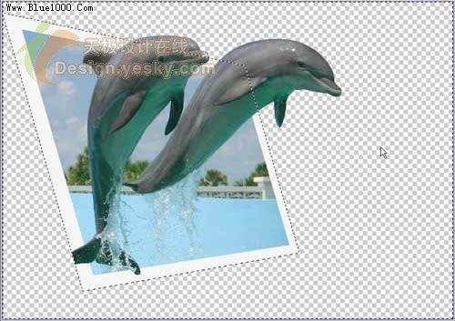 PS制作跃出照片的海豚特效10