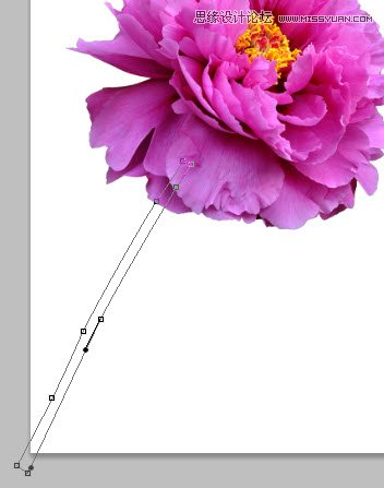 Photoshop设计动感飞溅效果的艺术花朵4