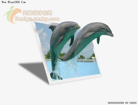 PS制作跃出照片的海豚特效2