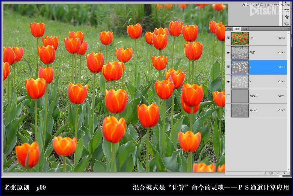 Photoshop利用计算命令计算出精确选区调整图片颜色9