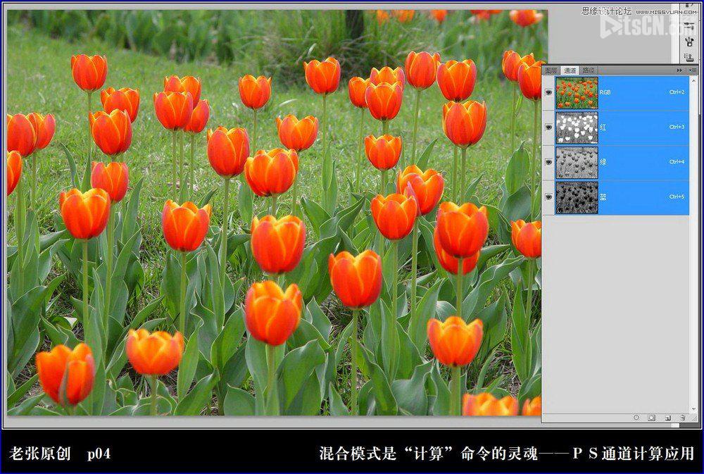 Photoshop利用计算命令计算出精确选区调整图片颜色4