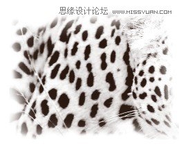 Photoshop制作逼真的豹纹花型图案教程5