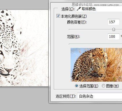 Photoshop制作逼真的豹纹花型图案教程3