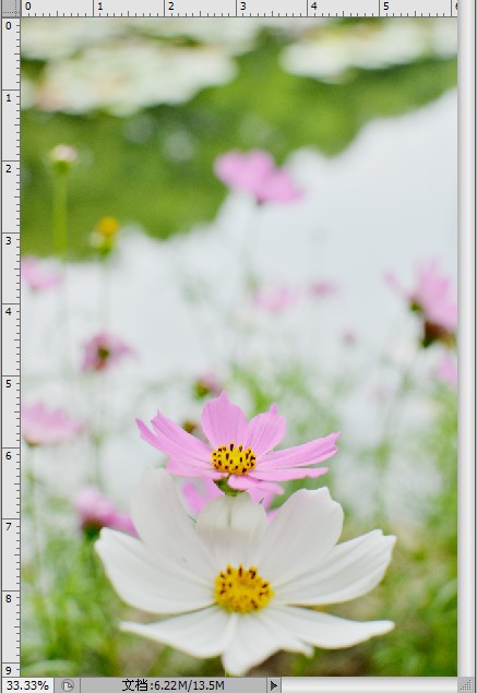 Photoshop制作色谱花卉主题作品教程8