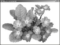 Photoshop CS 制作中国剪纸效果1