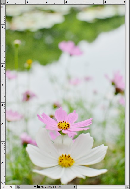 Photoshop制作色谱花卉主题作品教程6