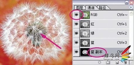 PS后期必学颜色通道新用途11