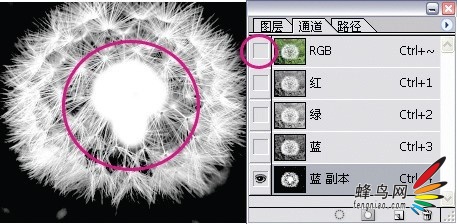 PS后期必学颜色通道新用途12