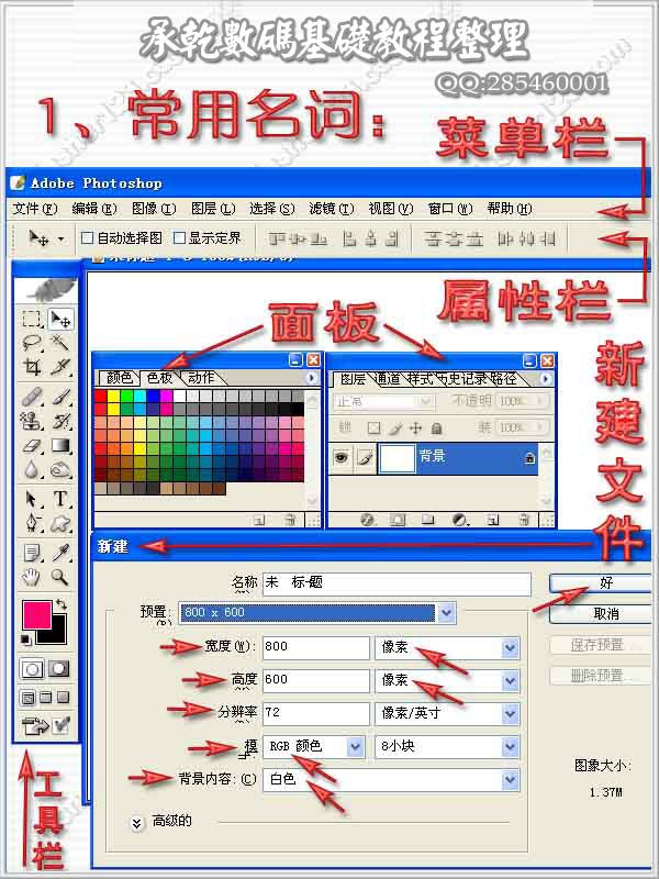 PS新手必看的工具使用方法及基础操作1