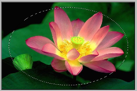 深度解析PhotoShop蒙版的应用图文实例基础教程5