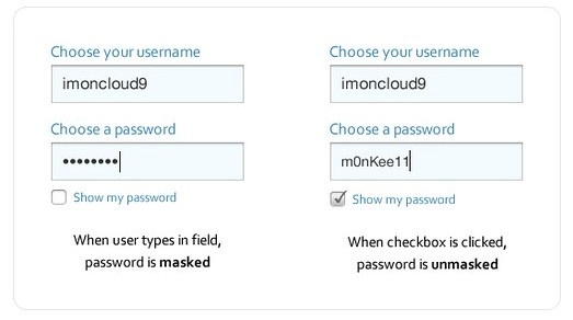 注册表单中密码遮蔽的再设计 提高用户体验5