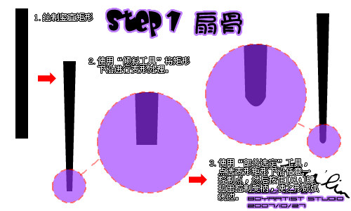 Fireworks教程：绘制夏天清凉折扇2